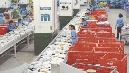 跨境電商生態(tài)圈日益成熟 東莞制造貨品加速流向全球